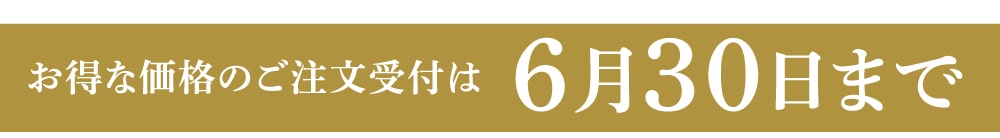 6月30日まで