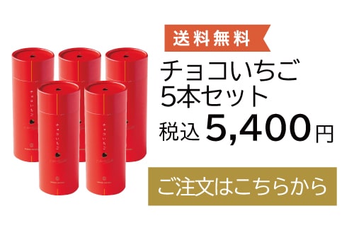チョコいちご5本セット