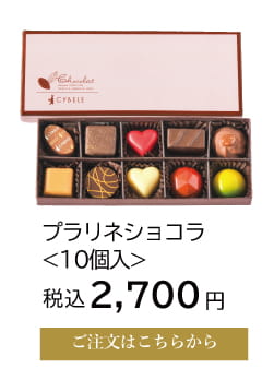 プラリネショコラ10個入