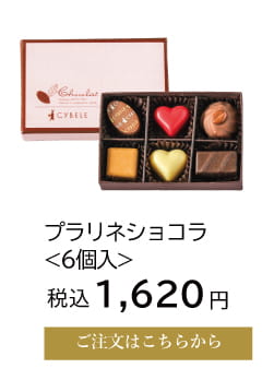プラリネショコラ6個入