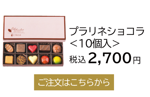 プラリネショコラ10個入