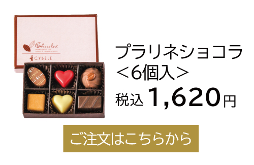 プラリネショコラ6個入